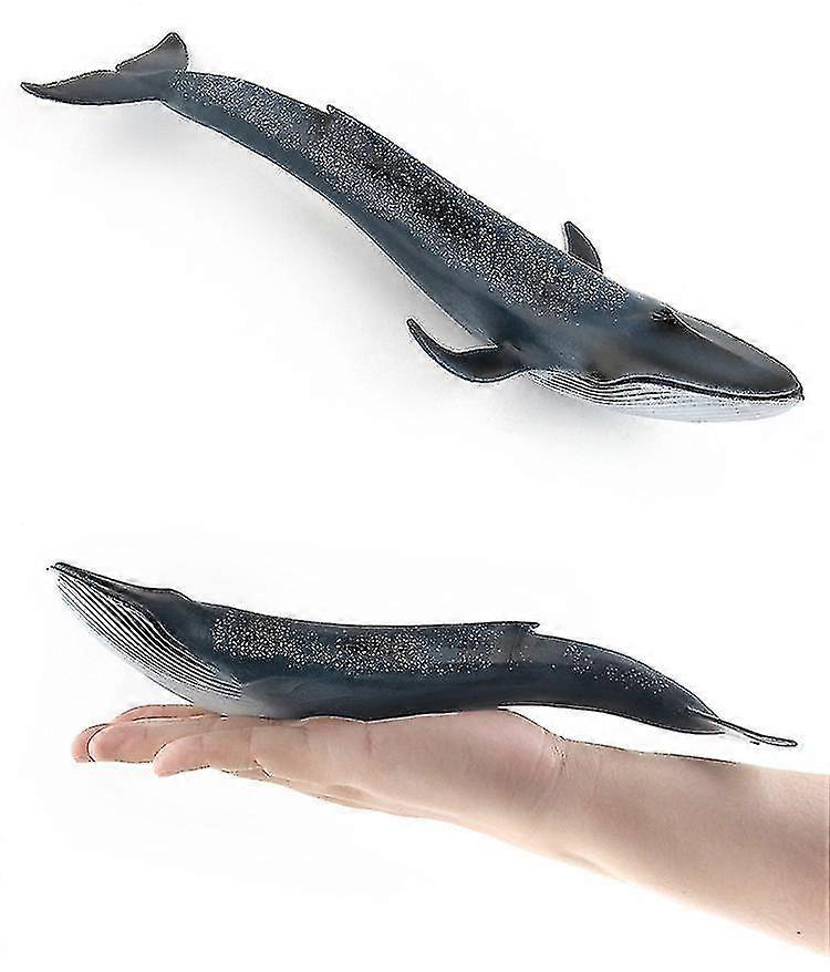 Simulation Marine Animal Model Solid Simulation Whale Narwhal