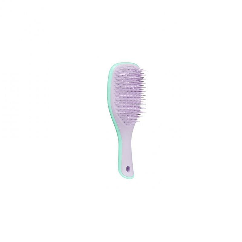Tangle Teezer Wet Detangle Mini Menthe/Violet