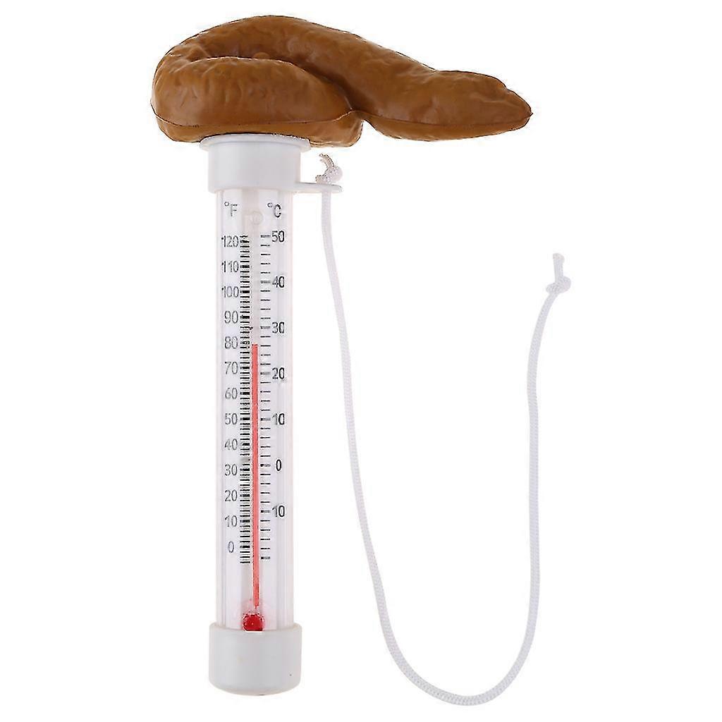 Rolig pooltermometer flytande bajsprankpool och bubbelpooltermometer för utomhuspooler