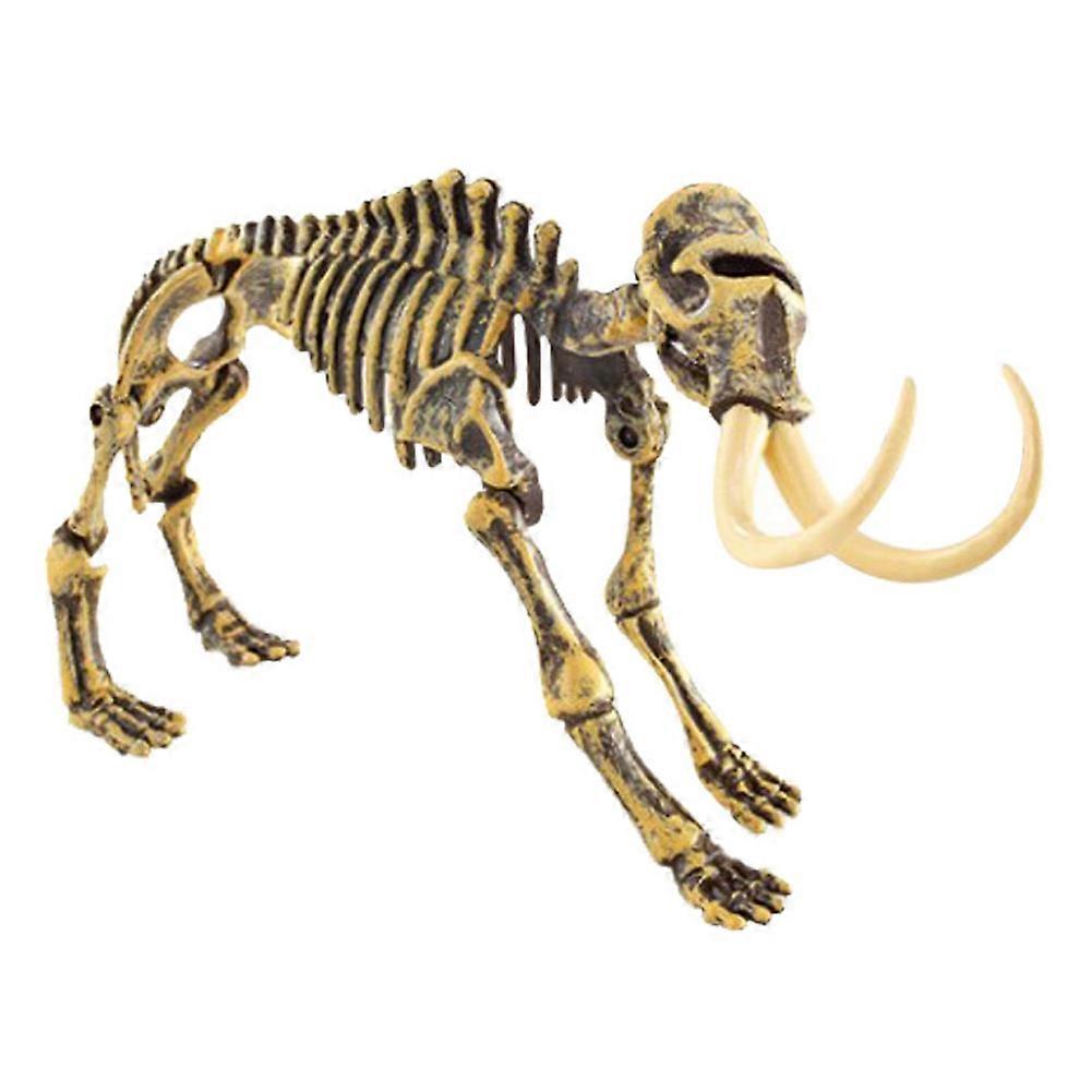 Dinosaur Skeleton Bones Model Toy Children Learning Educational Toys
