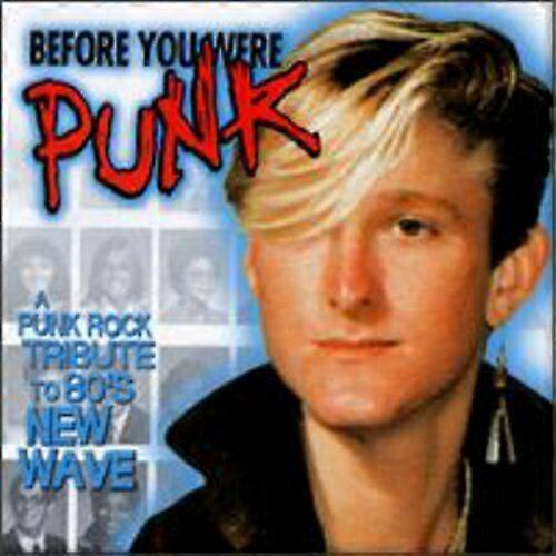Various Artists Before You Were Punk CD