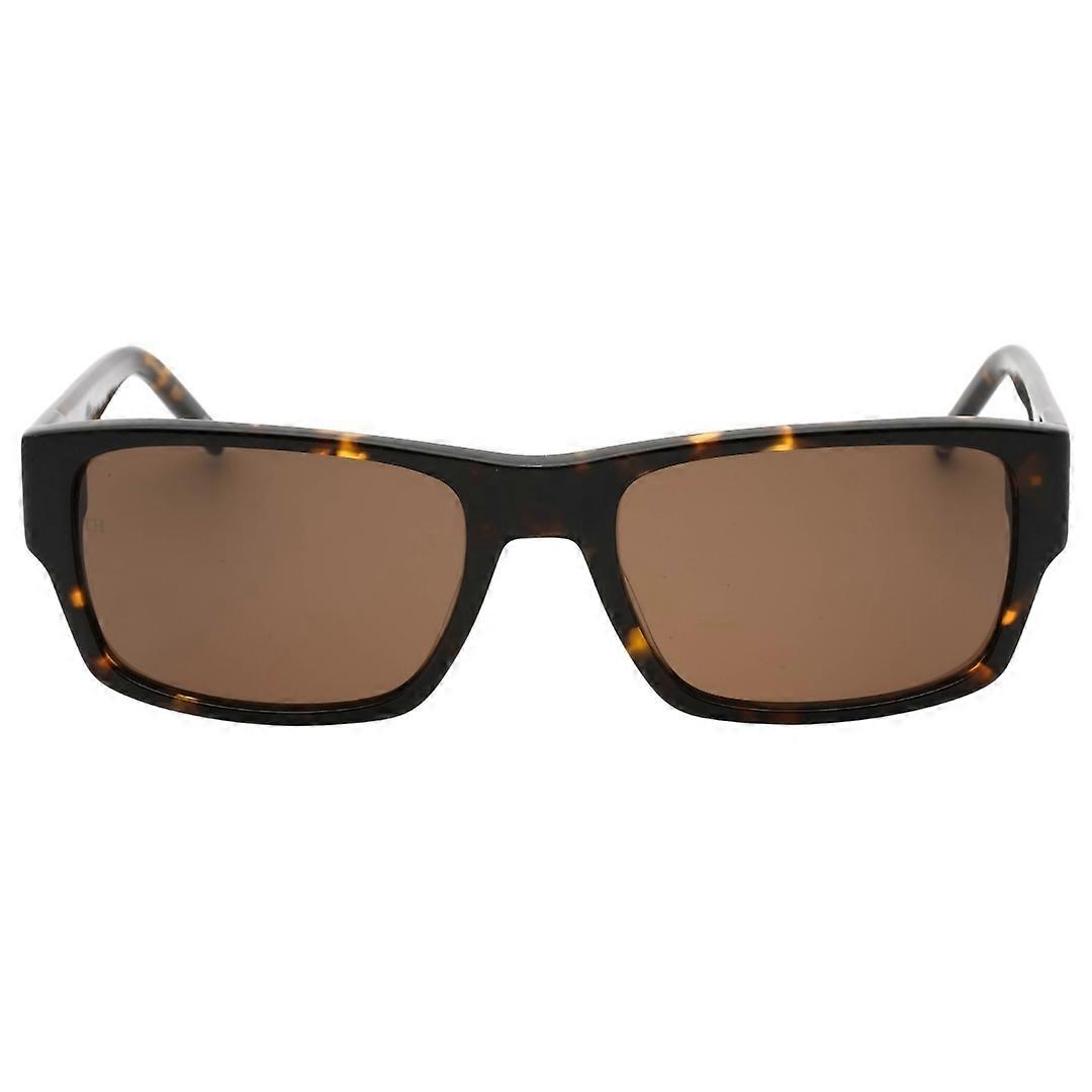 Tommy Hilfiger Brown Lens 哈瓦那太阳镜