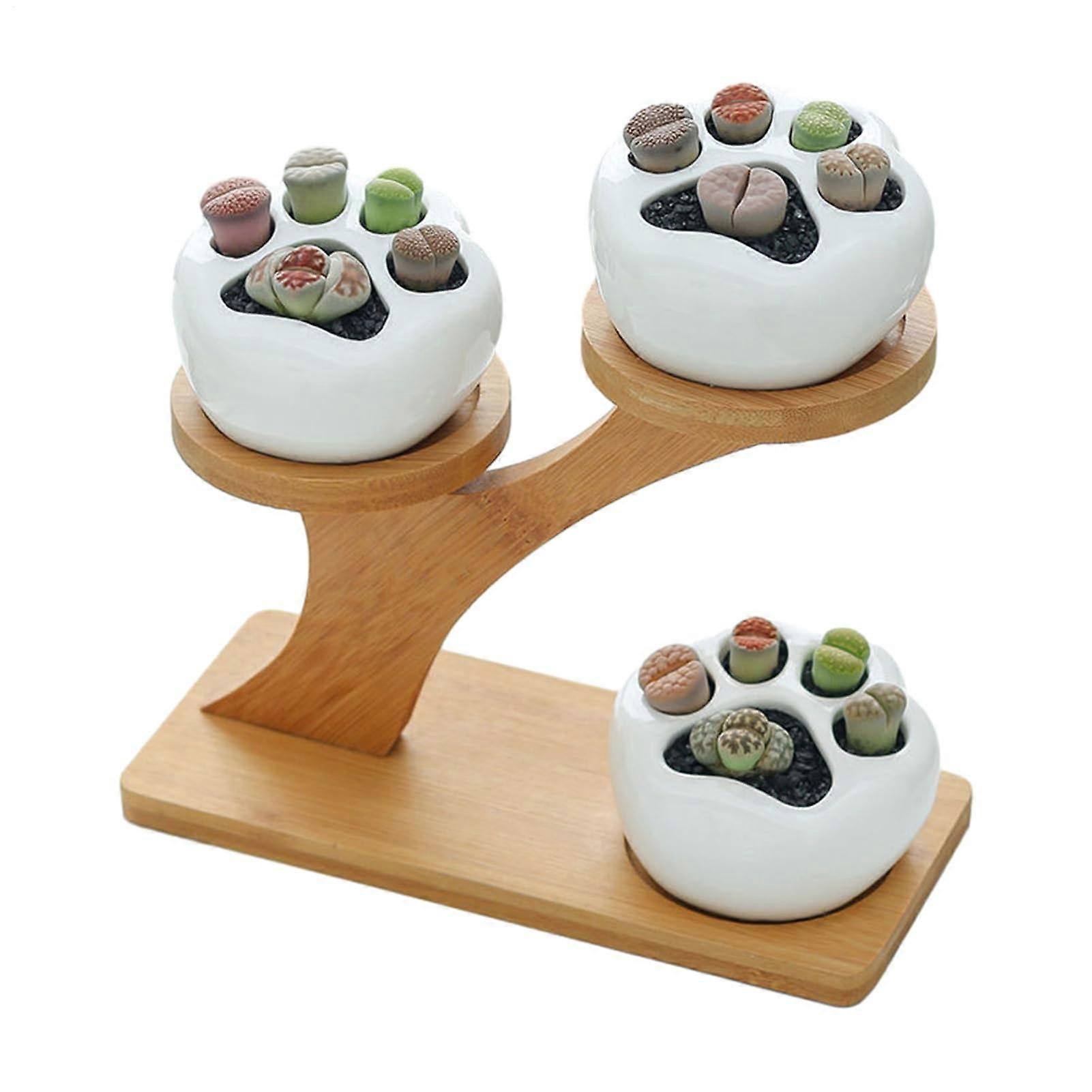 Tabletop Succulent Stand with 3 Levels - Multi-Layer Plant Display Rack for Bedroom and Balcony - Wooden Planter Holder