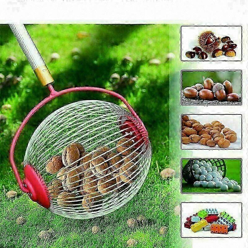 Telescopic Pole Nut Collector with Rolling Basket - Compact Fruit Picking Tool for Chestnuts and Nuts (Large Size)