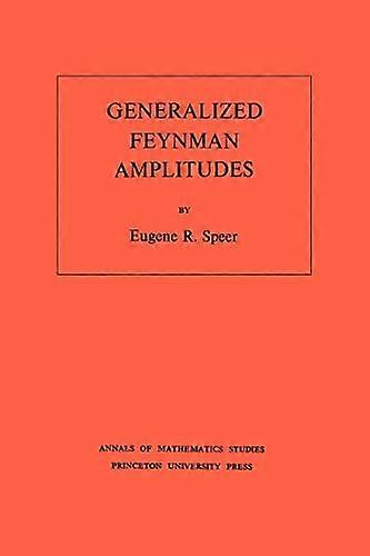 Generalized Feynman Amplitudes