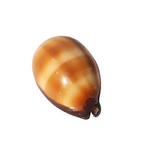 Natural Cask Cowrie Shells For Aquarium Landscaping Home Display