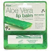 Aloe Vera Lip Protector 4 g