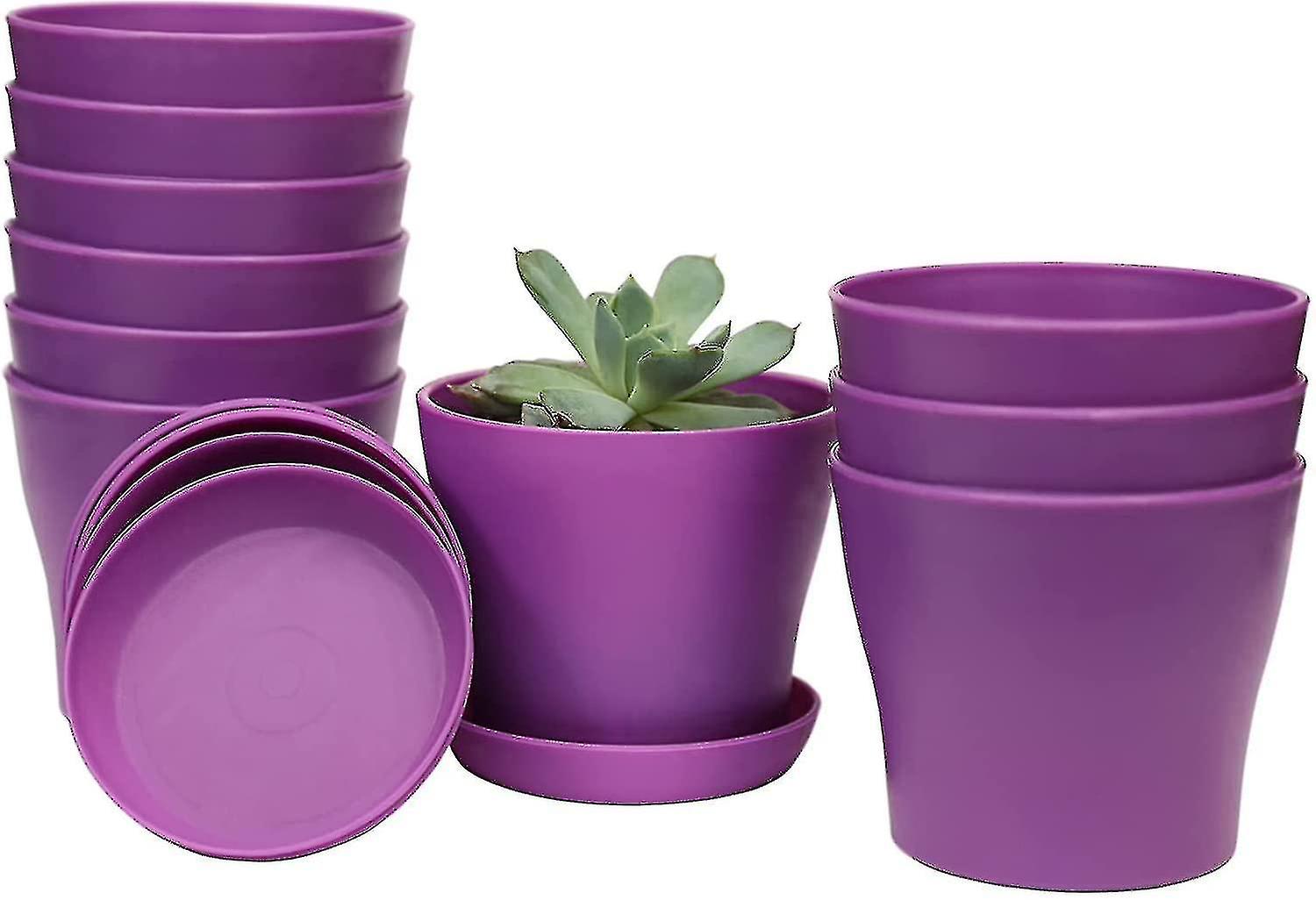 10 piezas Mini macetas de plástico de interior