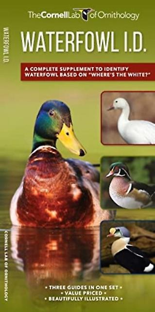 Waterfowl Id Set by Kevin J McGowan Paperback Book