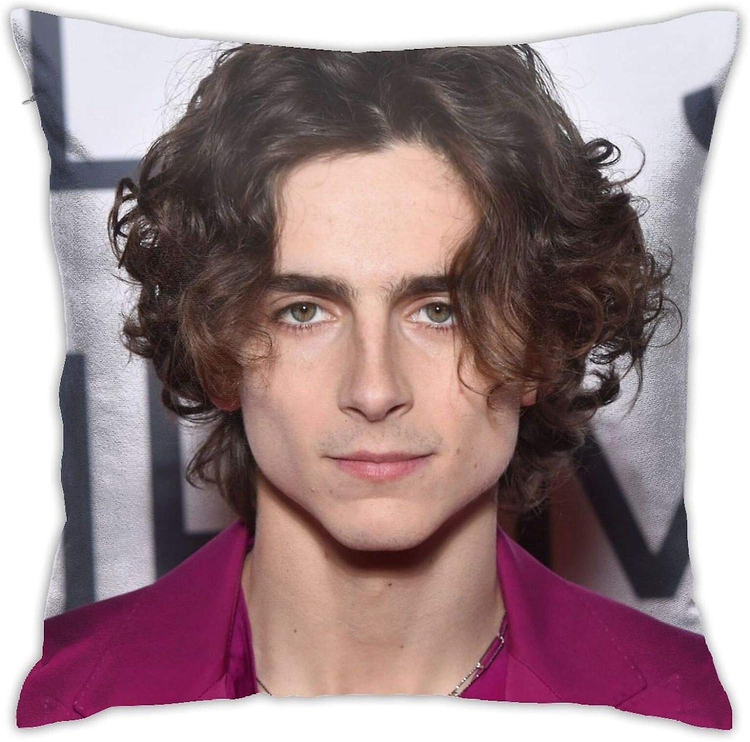 ティモシーシャラメ枕カバー、ソファソファオフィスベッド用隠しジッパー付き、両面プリント枕カバークッションカバーホームデコレーション用(ツインサイド)