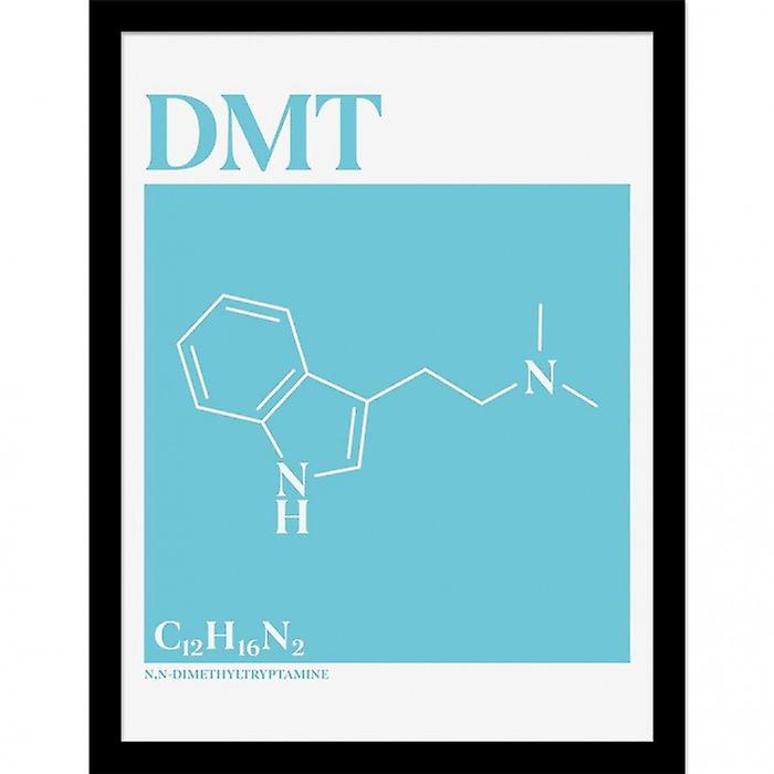 Drug Science DMT Framed Poster