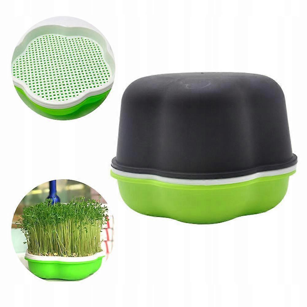 Sprout Germination Seed Planting