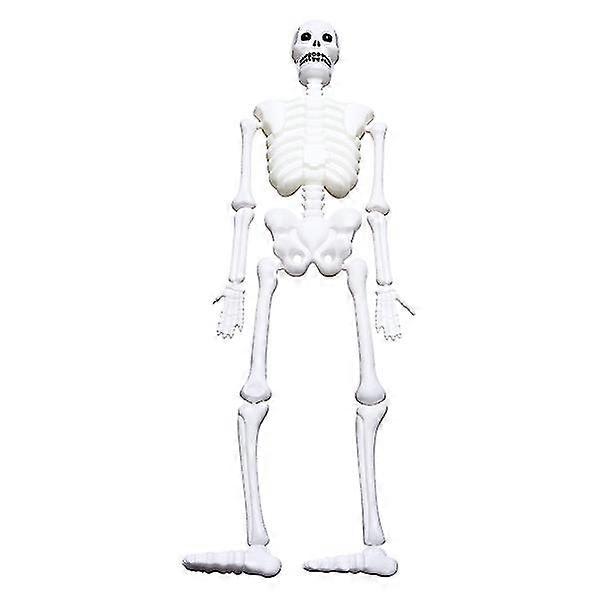 1pc Halloween Skeleton Full Body Halloween Skeleton With Movable Joints Skull