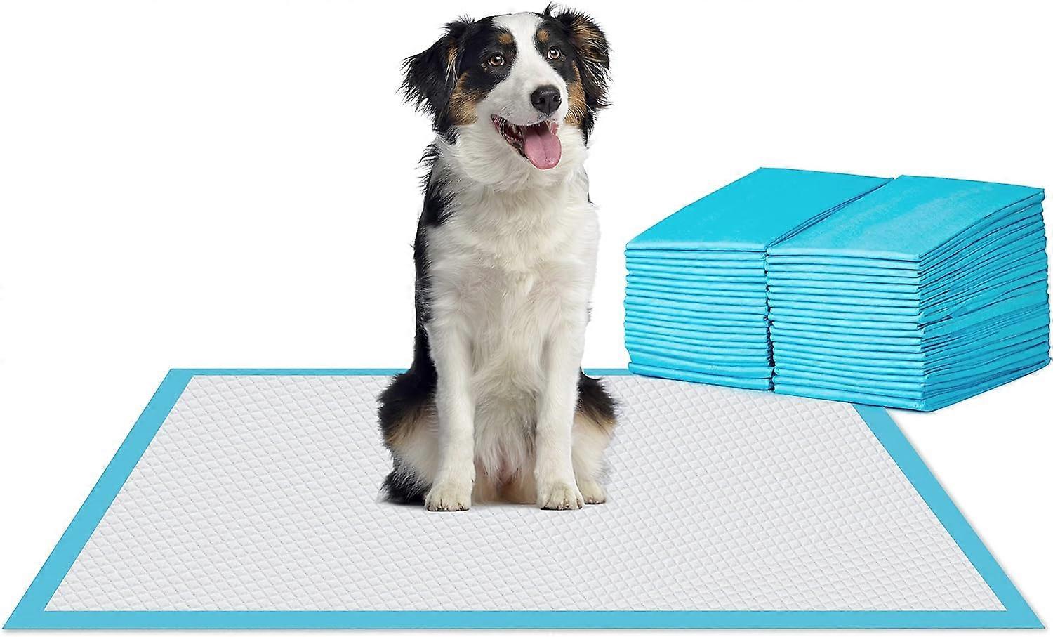 Potty Training Pads Pee Pads with Quick-Dry Surface for Pets,100% New