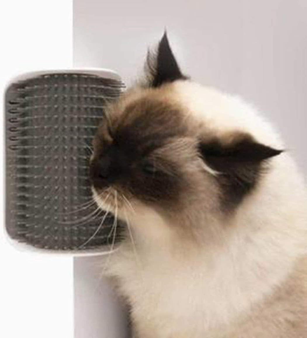 Cat Comb Face Tickle Massage Comb Self Grooming Tool
