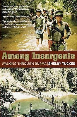 Among Insurgents