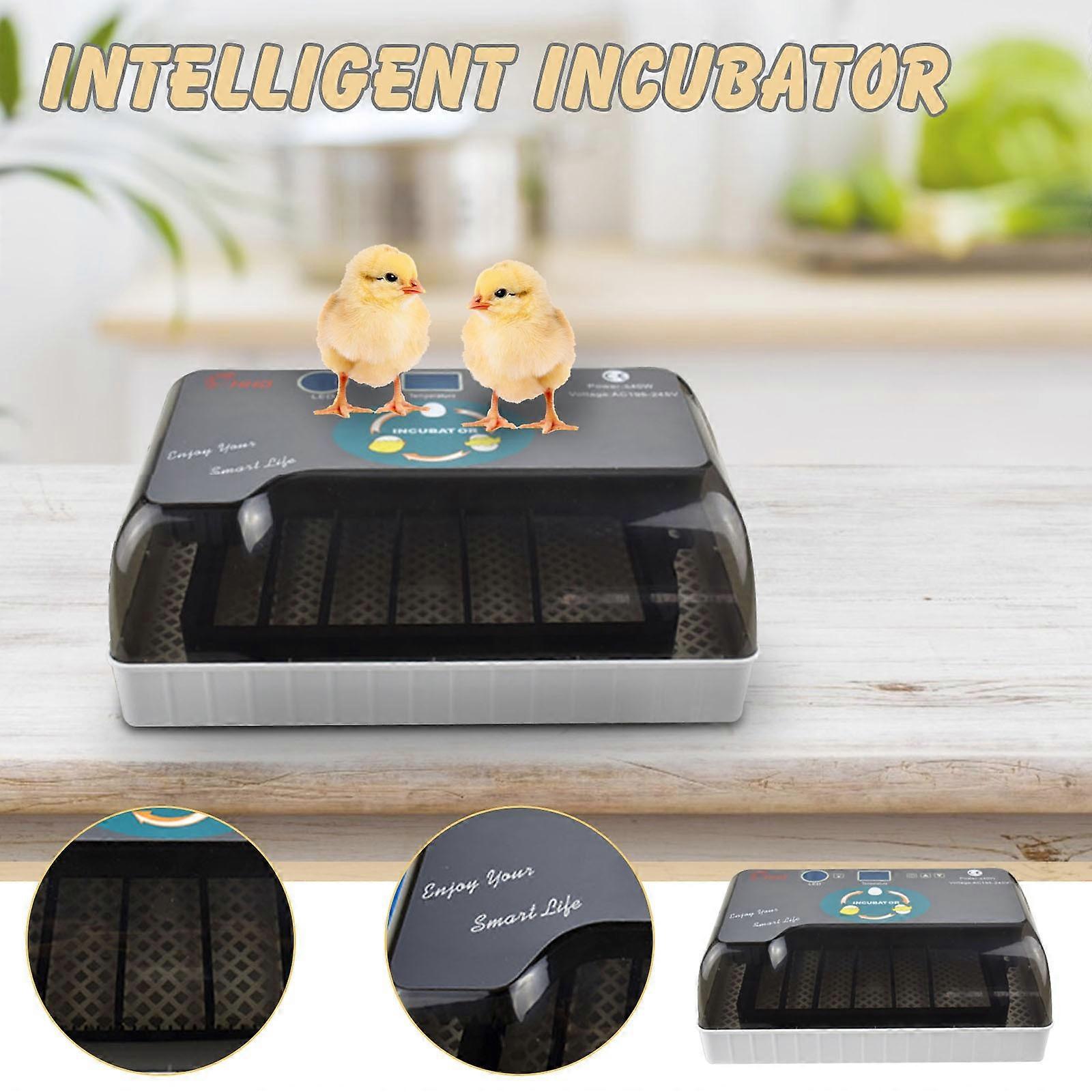 12 Eggs Digital I Ncubator Automatic Turning I Ncubator Poultry Hatcher Poultry