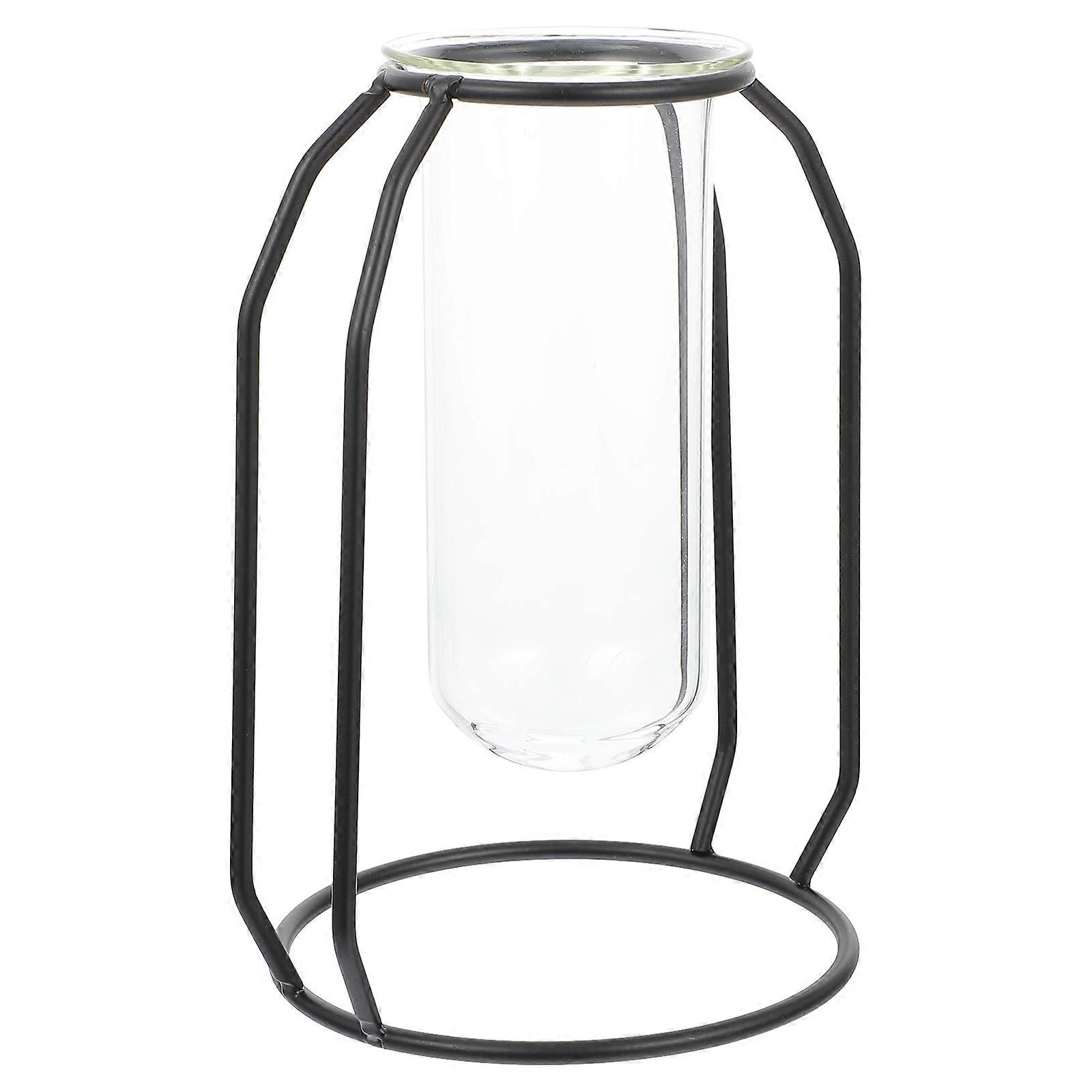 Glass Hydroponic Planter with Wrought Iron Stand for Decoration 1pc