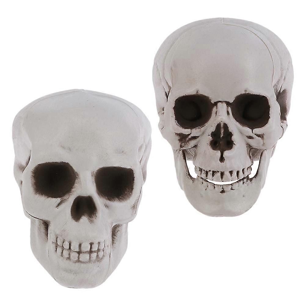Halloween Skulls Realistic Skull Models for Decoration 2Pcs White Plastic