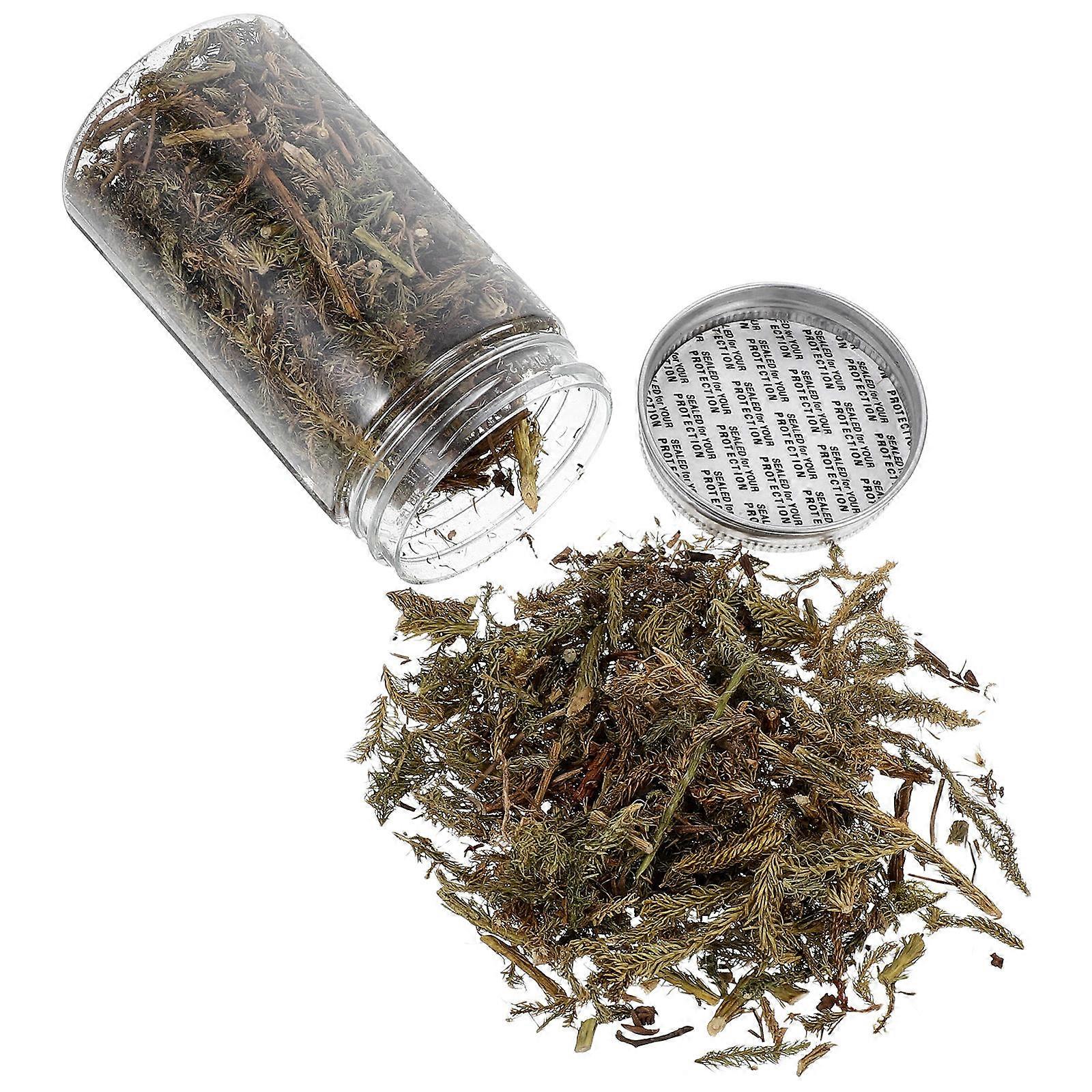 Desert Diorama Kit Model Grass for Decoration 5Sets