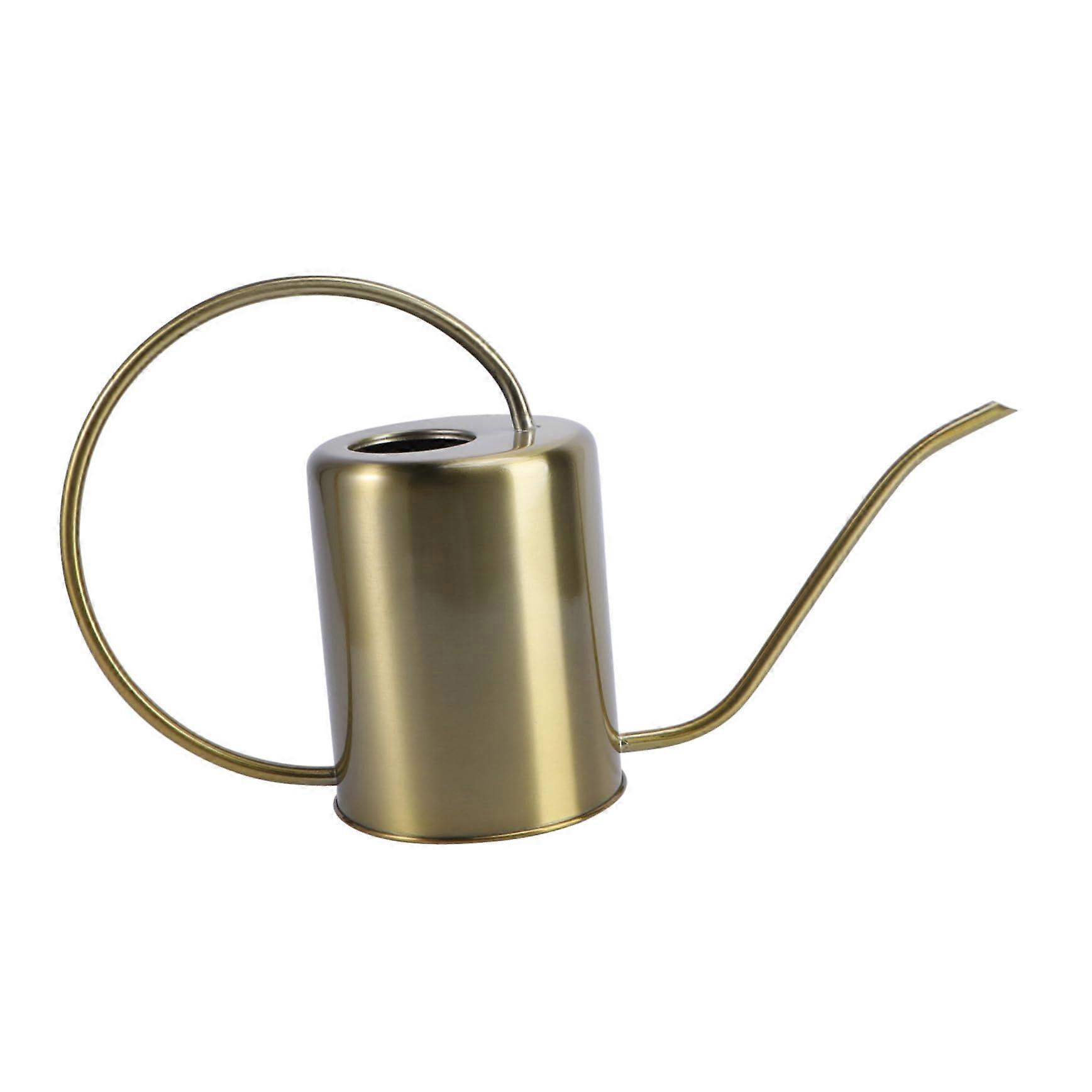 Rust Resistant Metal Watering Can with Long Spout for Indoor Plants and Flowers, Ergonomic Handle