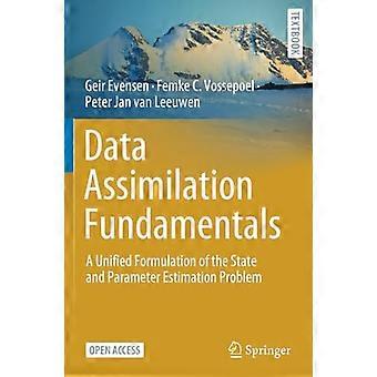 Fondamenti di assimilazione dei dati: una formulazione unificata del problema di stima dello stato e dei parametri (Springer Textbooks in Earth Sciences, Geography a
