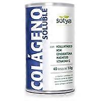 Collagen + Hyaluronic Acid + Msm 400 g