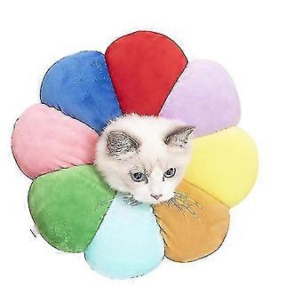 1st solros medicinsk krage för katter och hundar Anti-bite Anti-lick Pet Supplies (regnbåge-s)