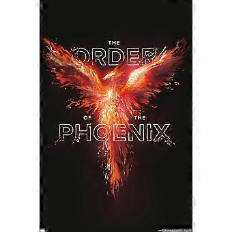 Harry Potter - Order of the Phoenix Magic Jigsaw Puzzle  AD259