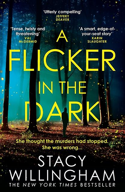 A Flicker In The Dark by Stacy Willingham Paperback