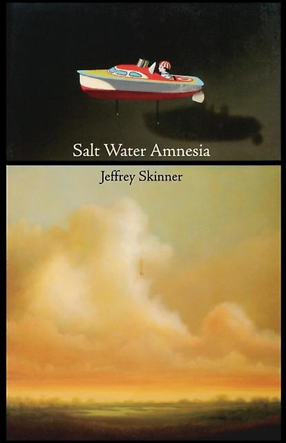 Salt Water Amnesia by Jeffrey Skinner Paperback Book