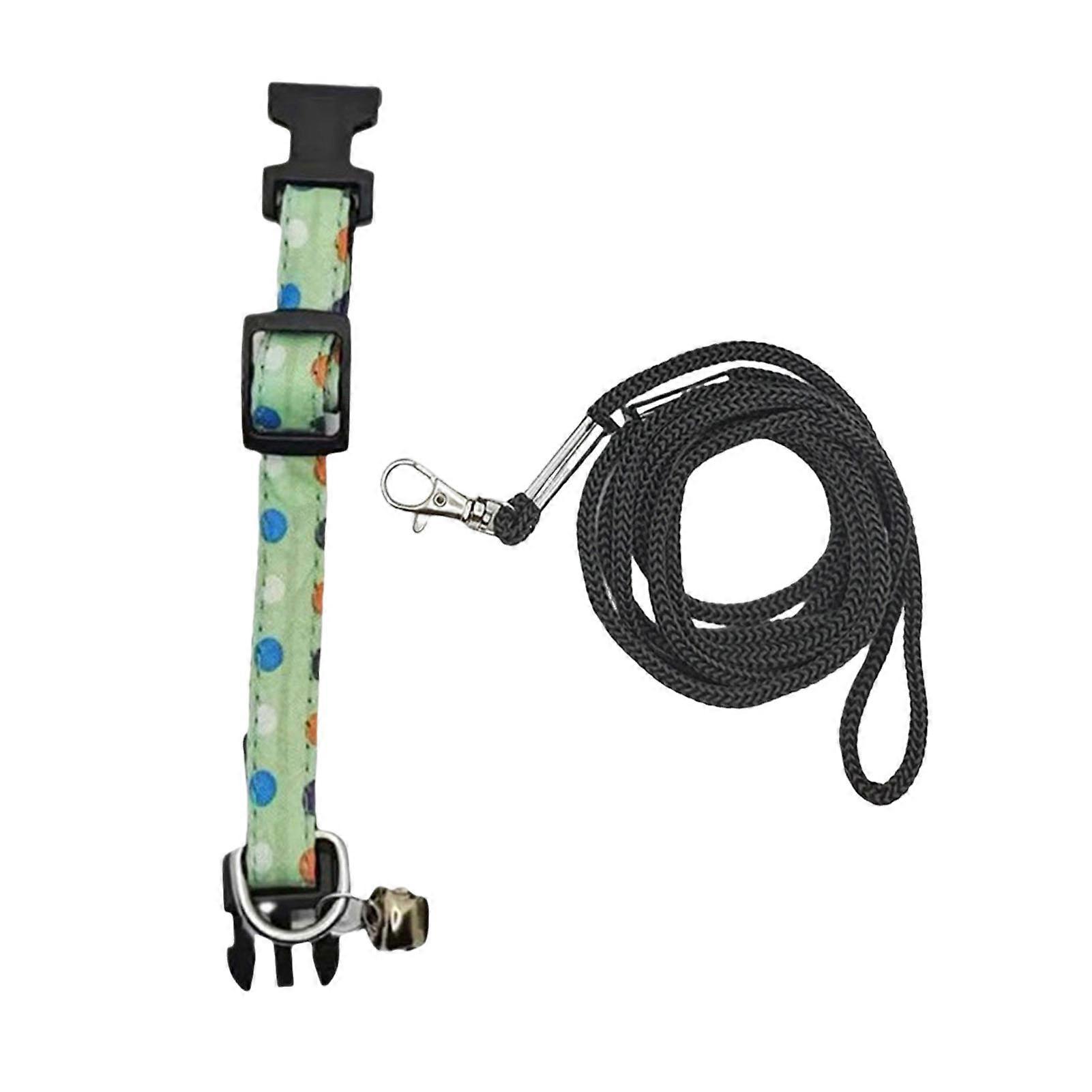 1 Set Lizard Leash Adjustable Reptile Traction Rope And Collar Durable Comfortable Pet Leash for Outdoor Adventures