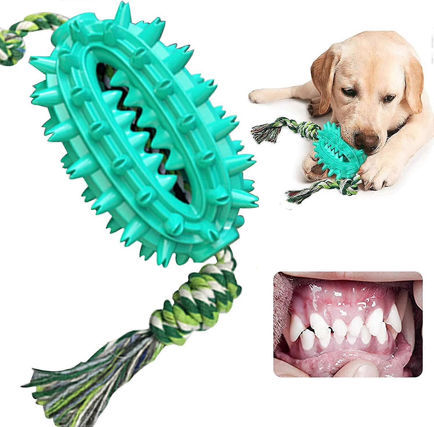Molar Chew Dog Leksak - Multifunktionell - Chew Toy - Molar Interactive Leksak - Chew Toy