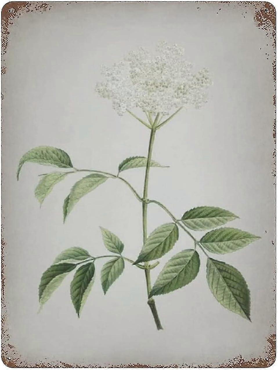 Placa de Metal Blooming Provins Rose Decoração 8x12 Polegadas OU 12x16 Polegadas Modo 1755