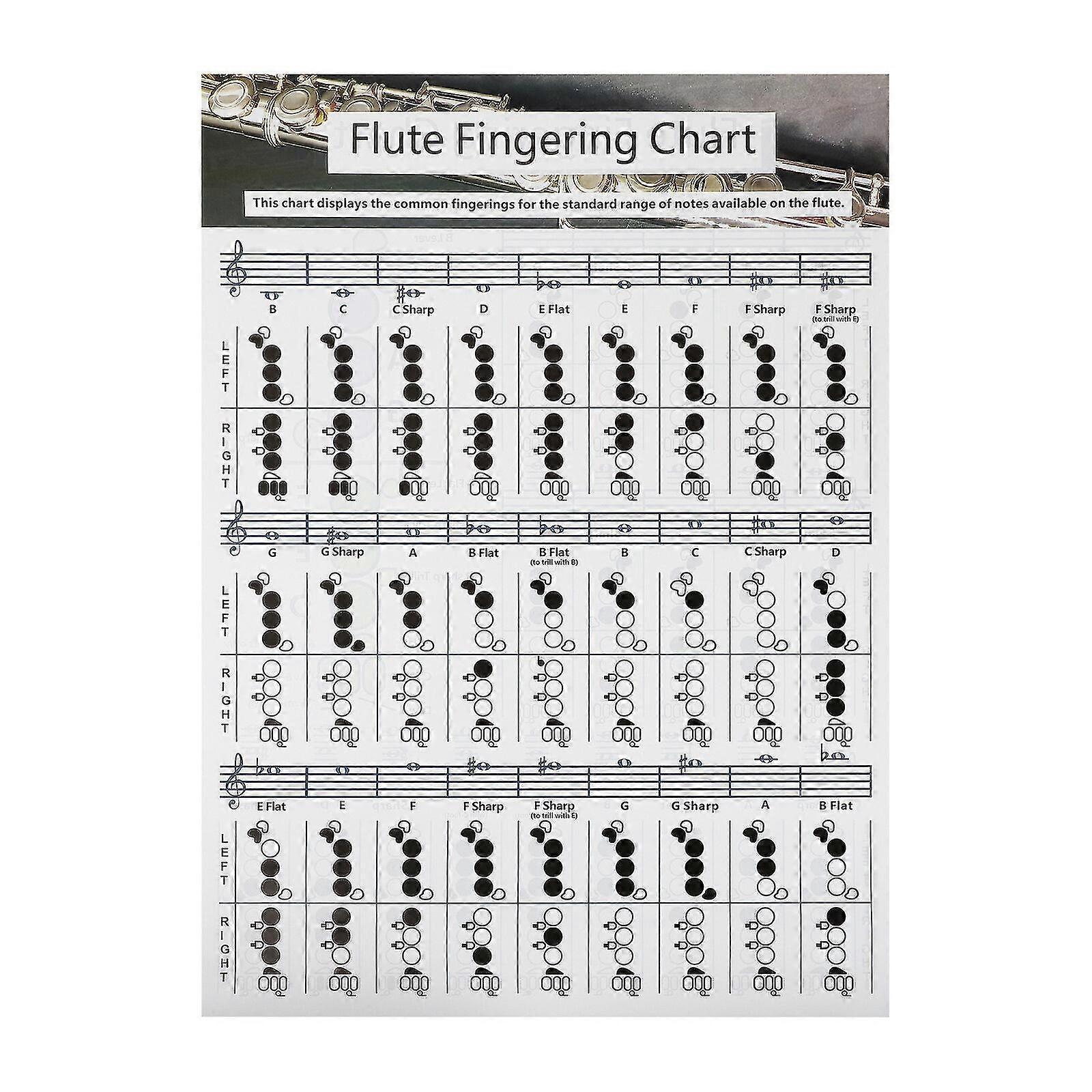 Practical Flute Finger Guide Chart Useful Flute Chord Chart for Flute Beginners