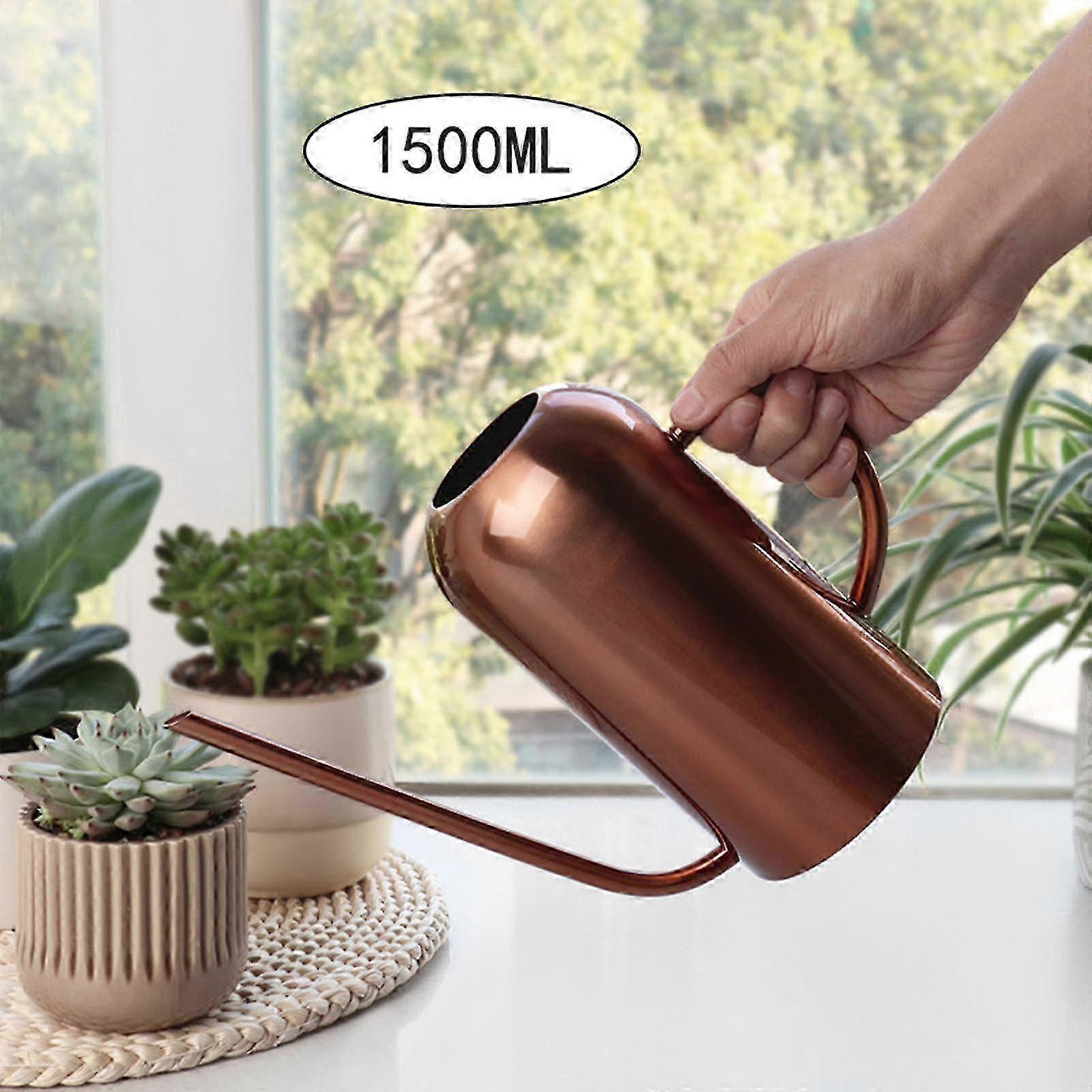 Vandkande Vandkande i rustfrit stål - 1,5 l metalvandkande med lang tud for at forhindre spild, perfekt plantevandkande til udendørs og i