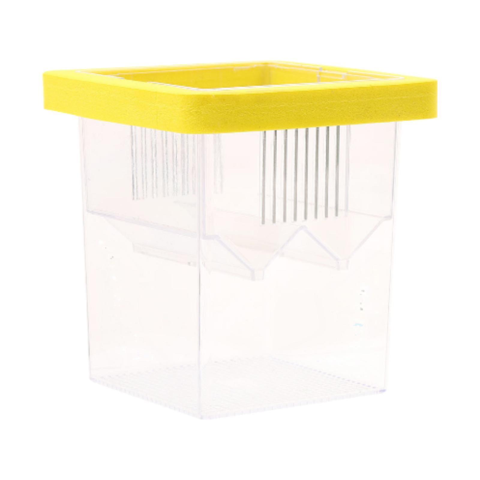 Floating Isolation Divider Fish Breeder Box Fish Tank Hatching Incubator