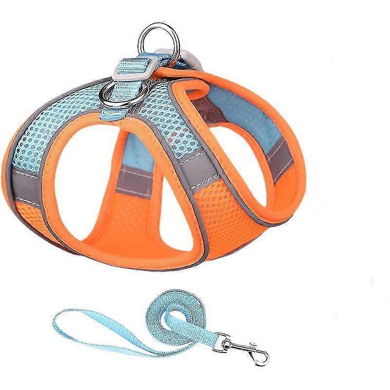 Walk-in Dog Harness And Leash Set - Summer Dog Vest, Super Breathable Mesh, Reflective Non-pull Pet Harness, Suitable For Outdoor Walking, Train