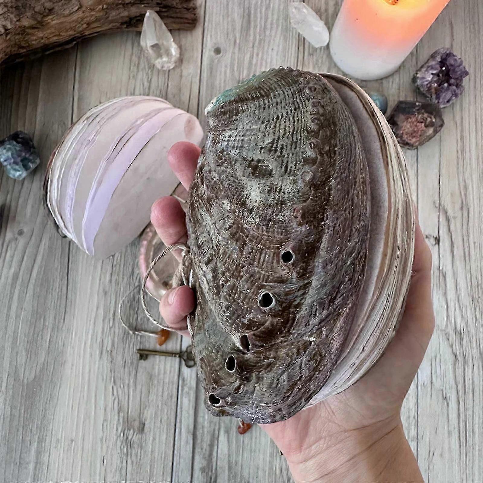 Abalone Shell/Lions Paw Shell/Scallop Shell Journal, ainutlaatuinen ensiluokkainen kovakantinen Ocean-sarjan muistilehtiö, Natural Shells -tekstuurit Creative Sketchboo