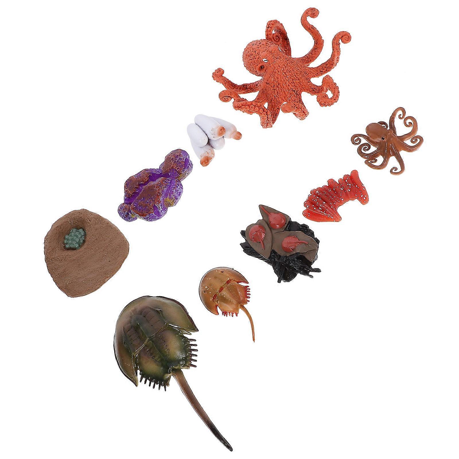 Tortoise And Octopus Life Cycle Models 2 Sets Educational Toys Ideal For Children Learning And Exploration Of Nature In Miniature Size