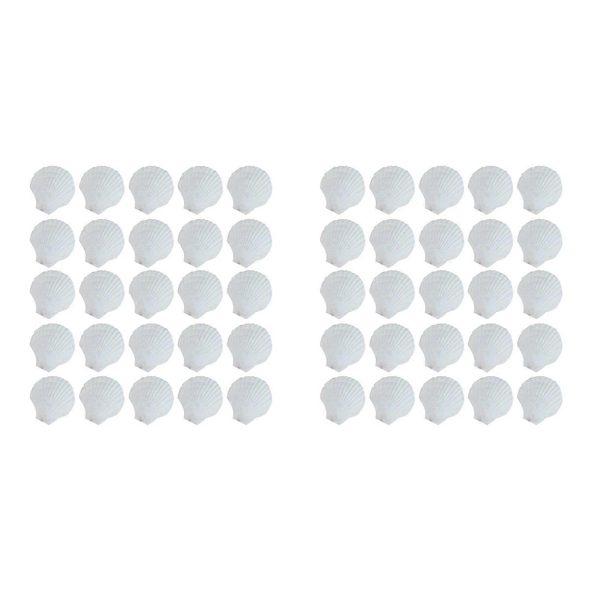 50Pcs Natural Scallop Shell, Special for Handmade DIY Production Handmade DIY Coloring Shell