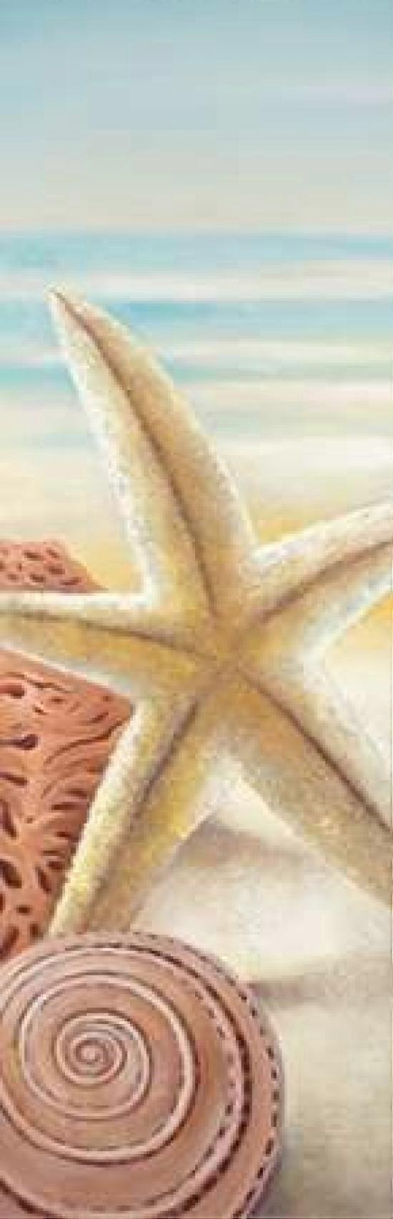 Starfish and Seashells at the Beach Poster