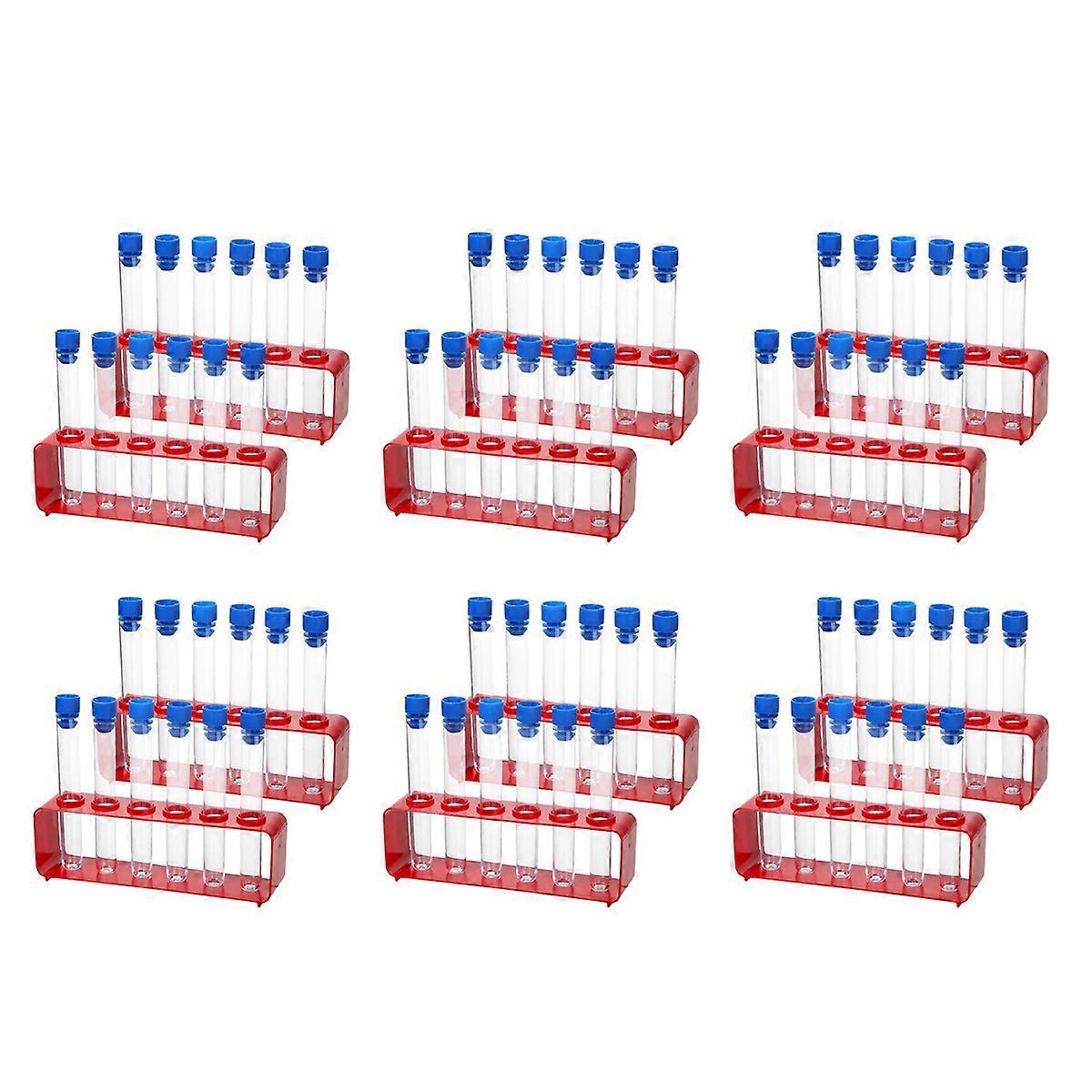 2 Sets 15x100mm Plastic Test Tubes with Caps and 6 Holes Holder Rack