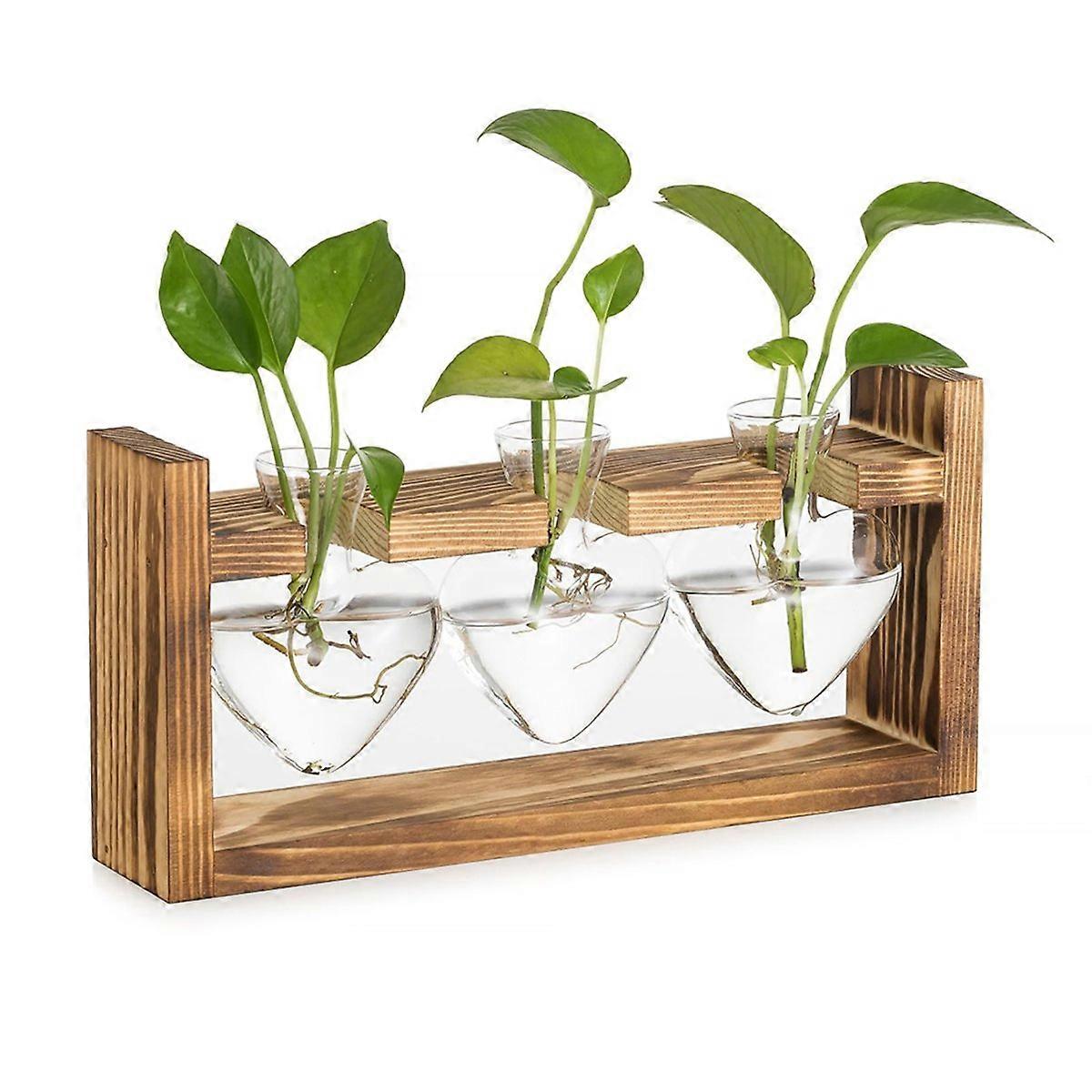 Glass Propagation Station For Plants Vases Decoration With Frame Set