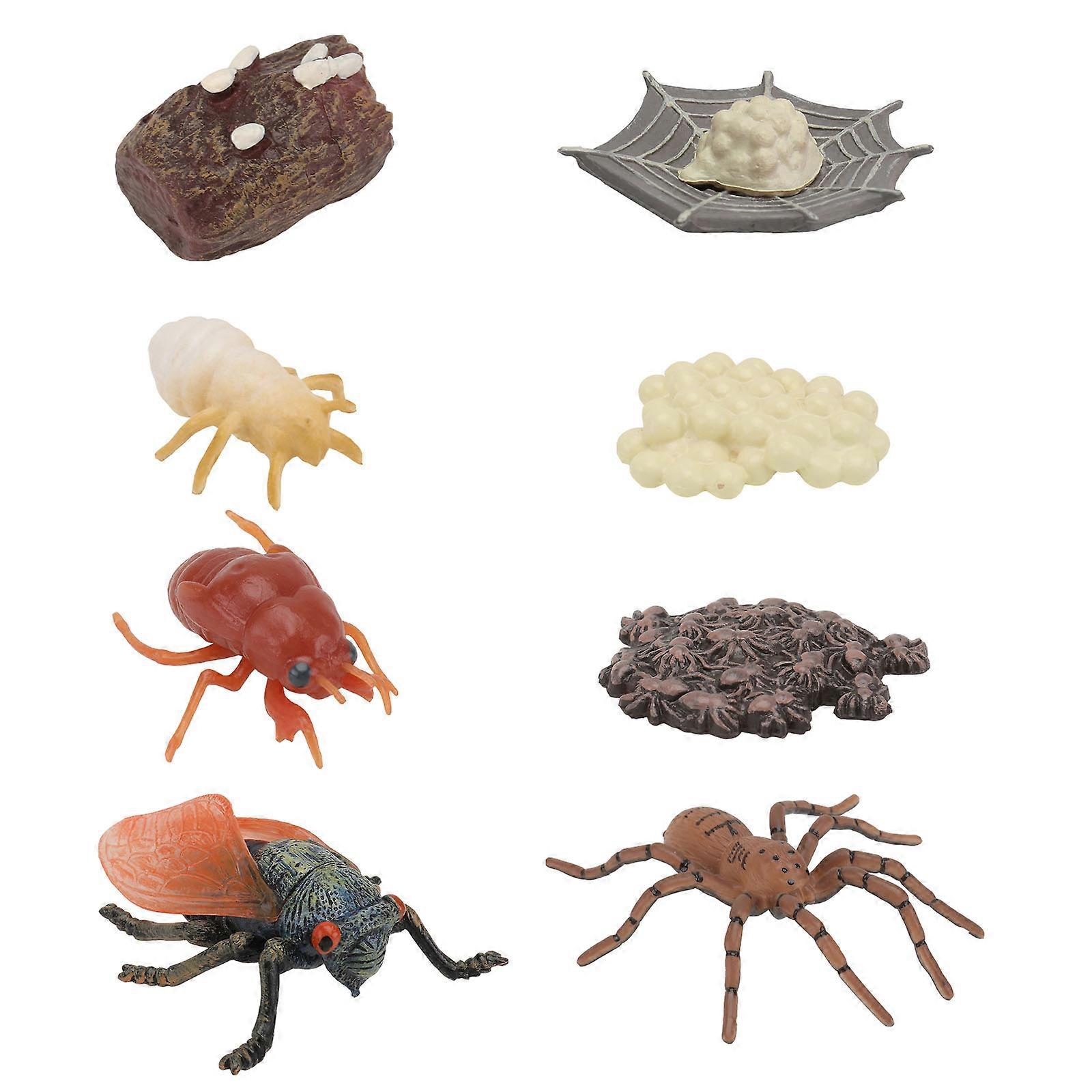 Spider Growth Cycle Animal Models for Decoration 2Sets