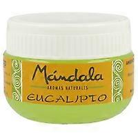 Eucalyptus Air Freshener 1 unit