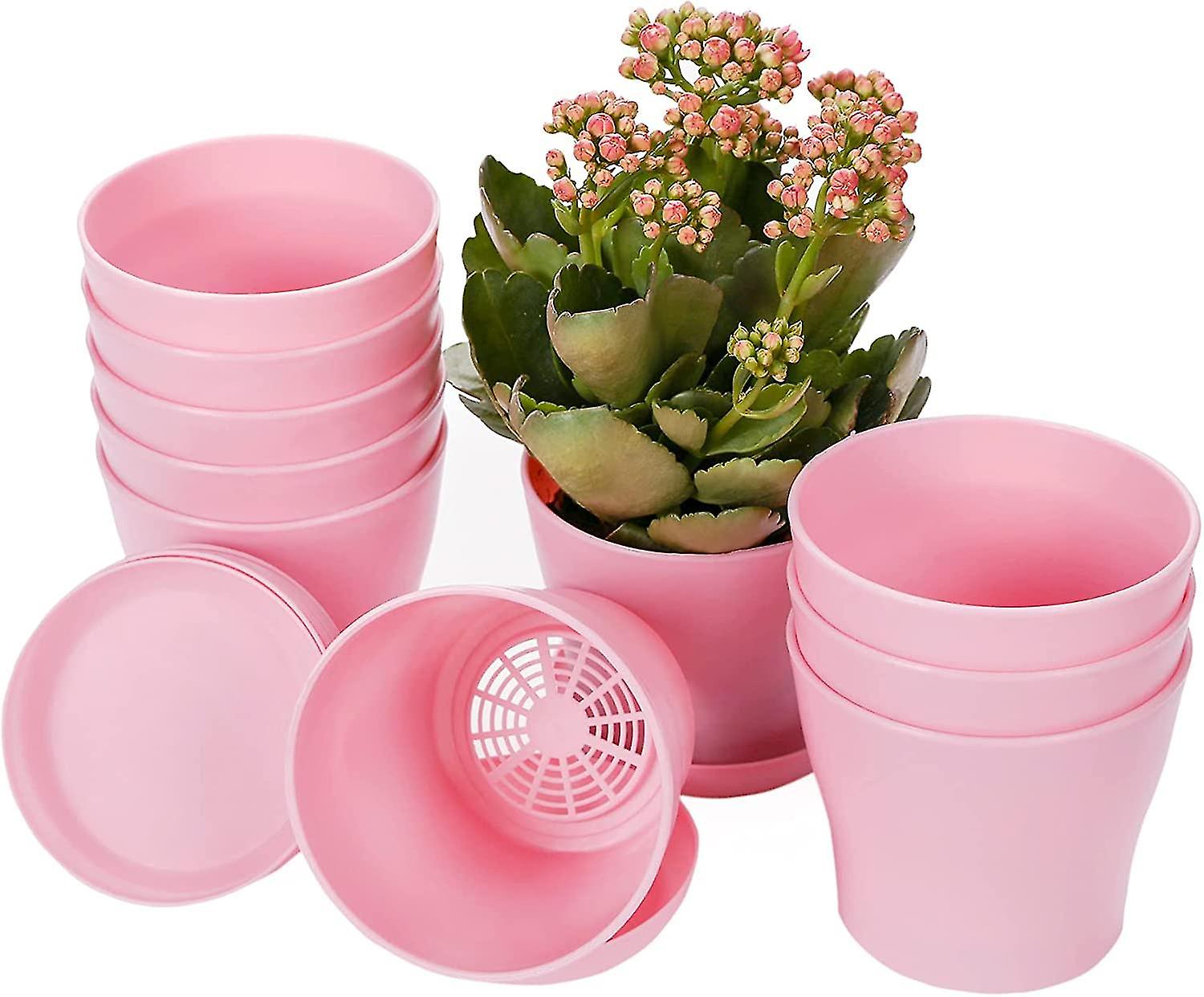 10pcs Mini Sämlinge Blumentopf mit Palette