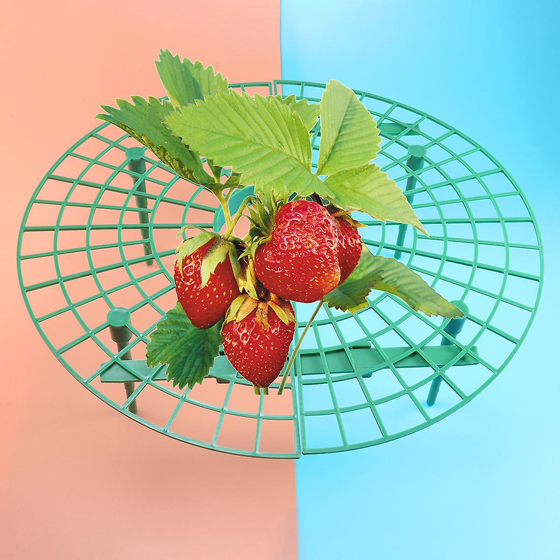 Strawberries 6 Frames Strawberry Cultivation Support Removable Plastic With 3 Feet Strawberry Cultivation Frame Slug Repellent Prevent Strawberries Ro