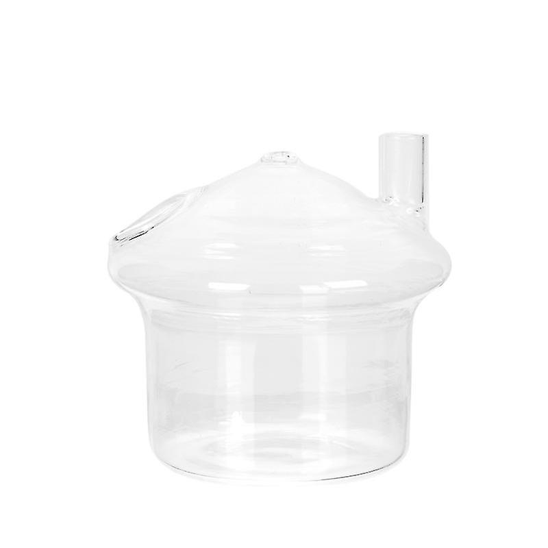 1pcs Hanging Glass Flower Vase