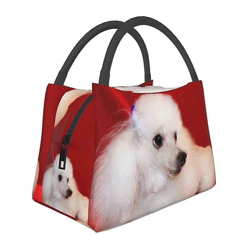 أكياس غداء مخصصة للقلطي محبي النساء صناديق غداء معزولة دافئة باردة للعمل Pinic أو السفر